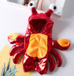 Turn Into A Cat And Dog Costume For Halloween