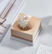2024 English Calendar Earth Note