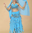 Belly Dance Costumes Special Offer Indian Dance Performances