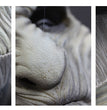 Latex Wig Mask Halloween Horror Headgear