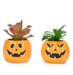 Halloween Succulent Flower Pot Ceramic Flower Pot Aromatherapy