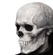 New Halloween Scary Skull With Movable Mouth And Glow