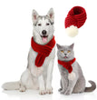 Pet christmas wool scarf