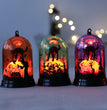 Halloween witch black cat led lights