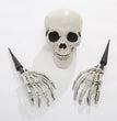Halloween Simulation Human Plastic Skull Skeleton
