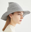 European And American Halloween Wool Wizard Hat