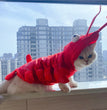 Halloween Cat Lobster Clothes New Year Christmas