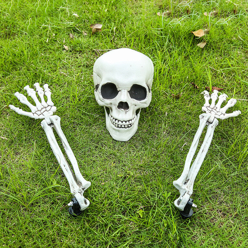 Halloween Simulation Human Plastic Skull Skeleton