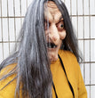 Halloween Witch Mask Up Fancy Dress