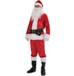 Plus size santa costume