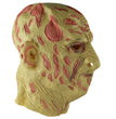 Halloween scary scar face hooded ghost