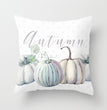 Halloween Pumpkin Series Home Decorative Pillow Cushion Pillowcase