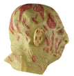 Halloween scary scar face hooded ghost
