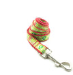 Red Christmas Pet Leash