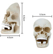 Halloween skull decoration