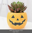 Halloween Succulent Flower Pot Ceramic Flower Pot Aromatherapy