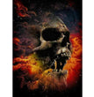 Diamond Painting Home Decoration Skull Girl Halloween