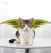 Halloween Pet Dinosaur Wings Makeover