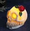 Scary Skull Dress Up Props Halloween Decorations