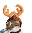 Cute Dog Cat Costume Christmas Cloak Halloween Disguise Cat