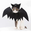 Halloween pet bat wings