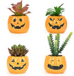 Halloween Succulent Flower Pot Ceramic Flower Pot Aromatherapy