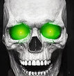 New Halloween Scary Skull With Movable Mouth And Glow
