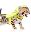 Halloween Pet Dinosaur Wings Makeover