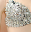 Halloween Costume Sequin Skirt Belly Dance Suit