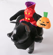 Halloween Dog Clothes Pet Costume Funny