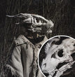 Halloween Simulation Dragon Bone Mask Headgear
