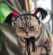 Creative Pet Funny Halloween Hood Hat