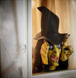 Halloween New Product Voyeur Old Witch Terrible Voyeur
