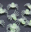 Small Toy Black Spider Halloween Plastic Toy