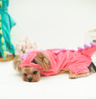 Pet Dog Funny Halloween Dinosaur Transformation Costume