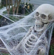 Halloween Supplies Ghost Festival Scene Props Spider Silk Spider Web Accessories