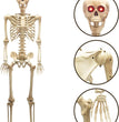 Halloween Skull Fish-skeleton Hanger 80cm Simulation