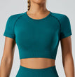 Sports Underwear Yoga Pants Top