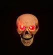 Halloween Skull Fish-skeleton Hanger 80cm Simulation