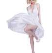 Halloween Ladies Dress Costume Costume