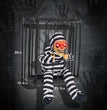 Induction Activated Voice Controlled Halloween Glow Cage Ghost