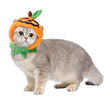 Double Sided Cloak For Halloween Pumpkin