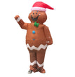 Christmas Old Man Snowman Gingerbread Man Inflatable Clothing
