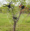 Halloween Ghost Festival Colorful LED Glowing Spider Web