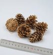 Christmas Supplies Pendant Natural Decoration Pine Cones