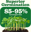 55 Vegetable Seeds Pack 28,000+ Non-Gmo Heirloom Seeds for Planting Vegetables, Survival Seed Vault, Garden Kit for Spring Fall Winter, Gift for Gardeners