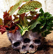 New Halloween Skull Resin Planter Ornament