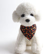 Halloween Pumpkin Cat Collar Two Piece Set Kitten Collar Saliva Bib