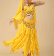 Belly Dance Costumes Special Offer Indian Dance Performances