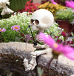 Halloween Decorations Aquarium Courtyard Micro Landscape